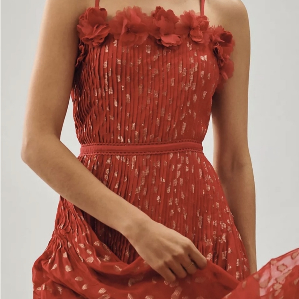Anthropologie Bhanuni Sheer Appliqué Dress